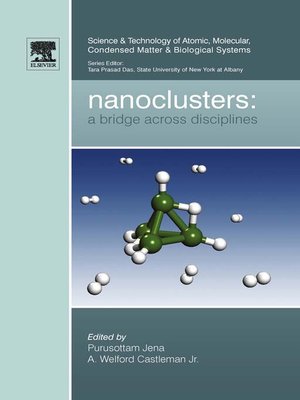 cover image of Nanoclusters